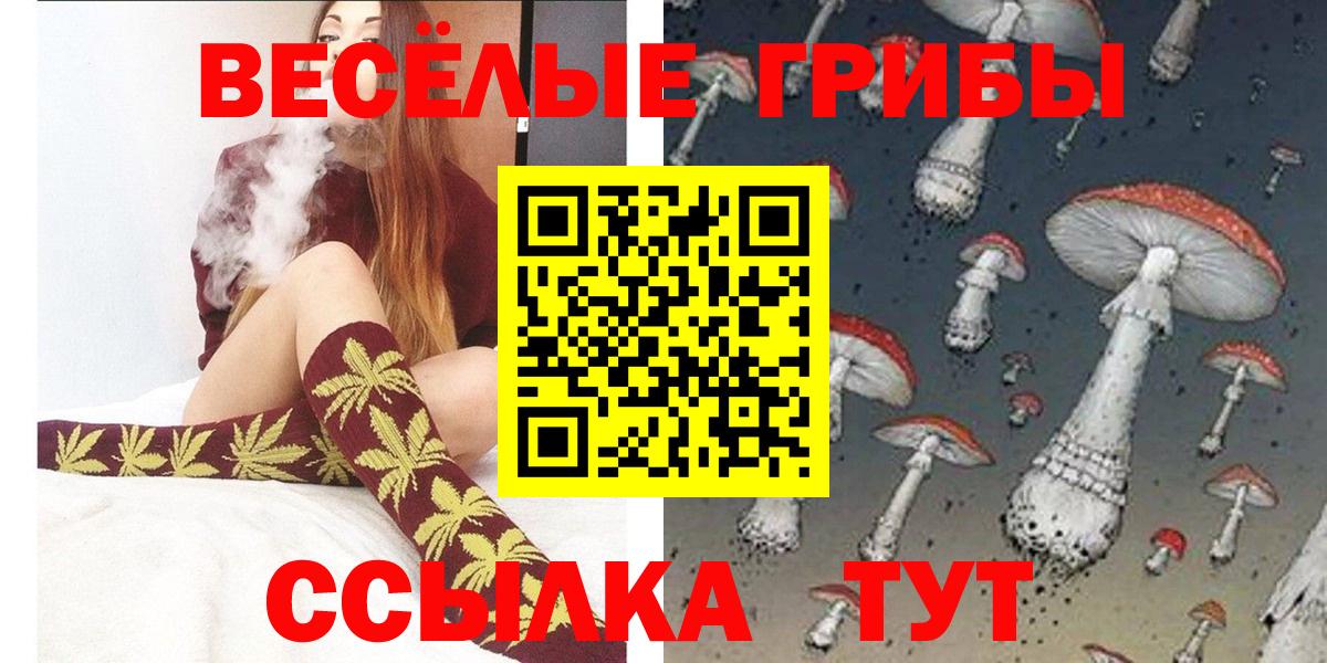 Псилоцибиновые грибы Cubensis Семёнов